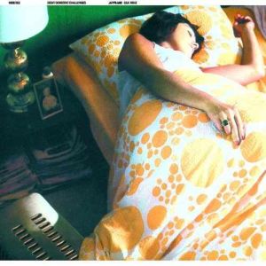 Wibutee - Eight Domestic Challenges