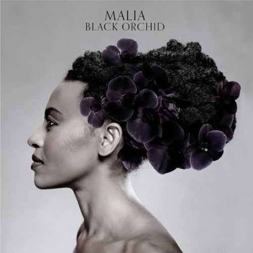 malia black orchid