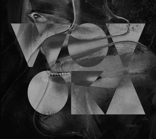 trees-against-the-sky-lado-abc-2013-08-01-530x470