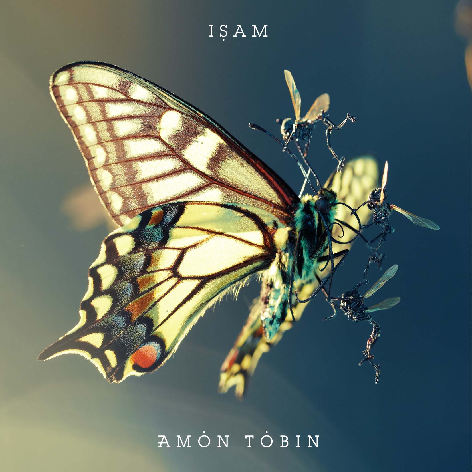 amon-tobin-isam-zencd168packshot