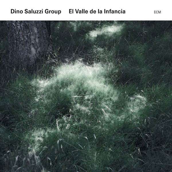 dino_saluzzi_group_el_valle_de_la_infancia