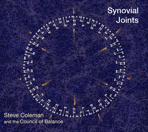 synovial joints