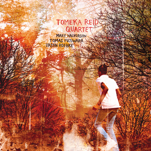Tomeka_Reid_Quartet_cvr