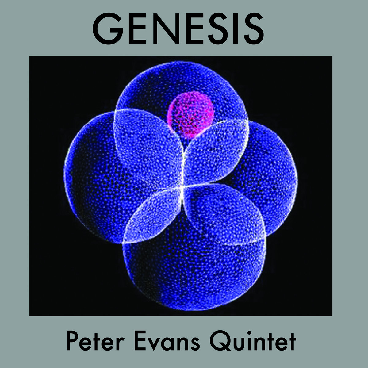 peter evans genesis