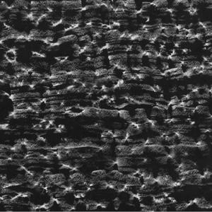 Densities, Forces, Intensities-300x300