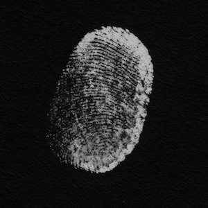 patricia-brennan-more-touch